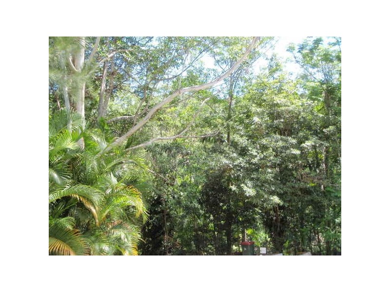 879 The Pocket Road, Billinudgel NSW 2483