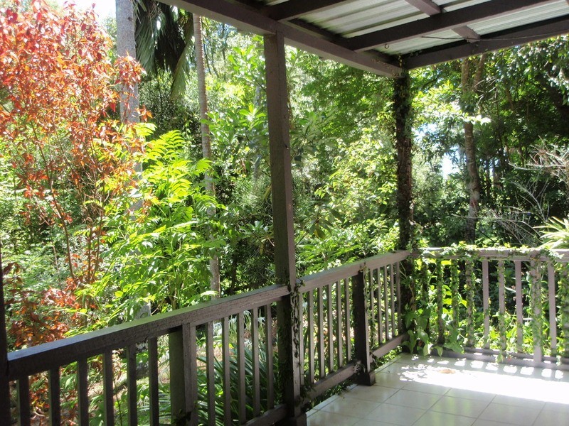 17 Mudges Road, Ocean Shores NSW 2483