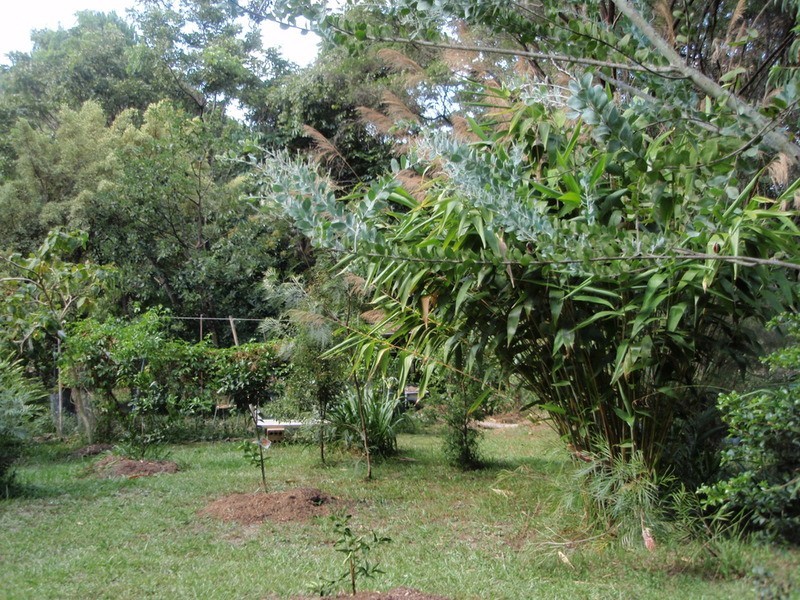 17 Mudges Road, Ocean Shores NSW 2483