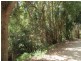 139  Billinudgel Road, Billinudgel NSW 2483