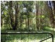 139  Billinudgel Road, Billinudgel NSW 2483