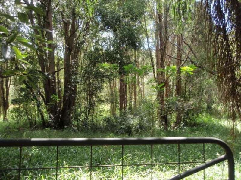 139  Billinudgel Road, Billinudgel NSW 2483