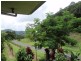 114 Ophir Glen Road, Burringbar NSW 2483
