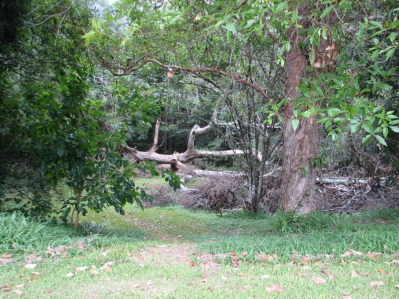 550 Middle Pocket Road, Middle Pocket NSW 2483