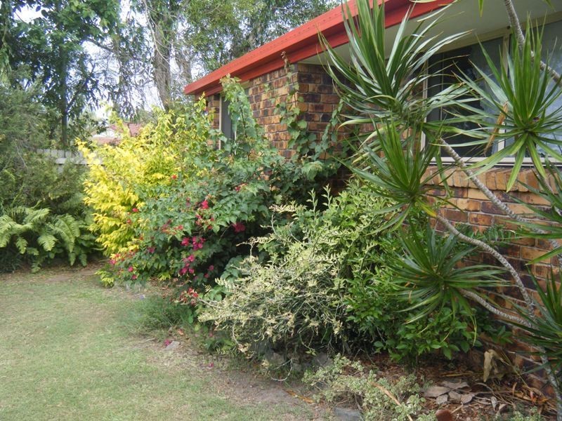 167 Shara Boulevard, Ocean Shores NSW 2483