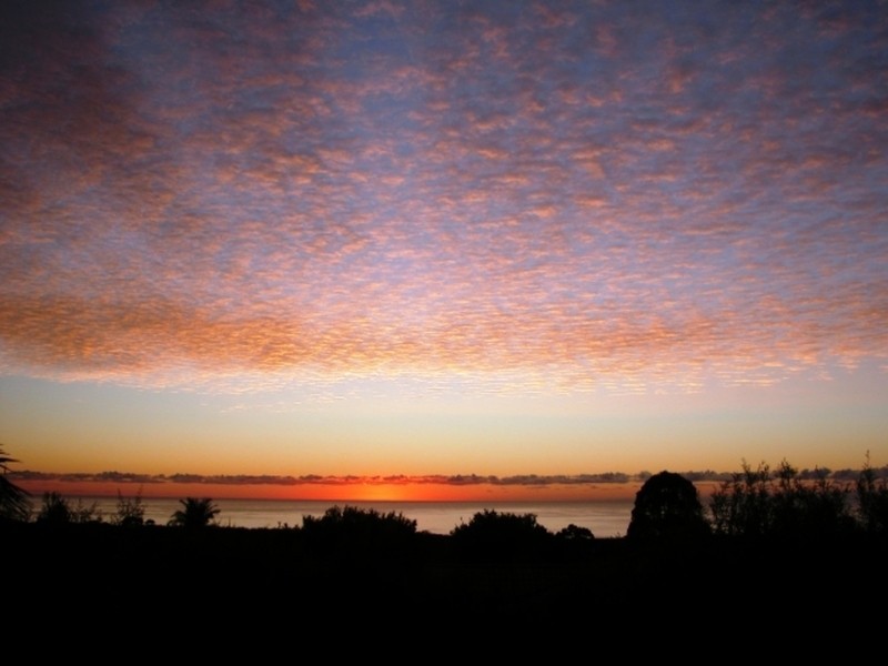 26 Warrambool Road, Ocean Shores NSW 2483