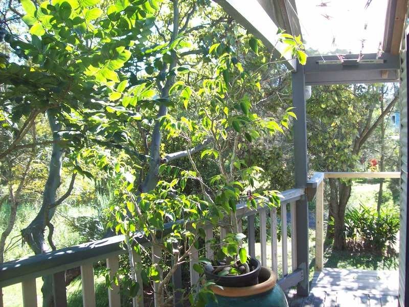 18 North Head Road, New Brighton NSW 2483