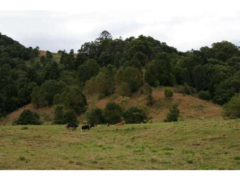 193 Middle Pocket Road, Middle Pocket NSW 2483