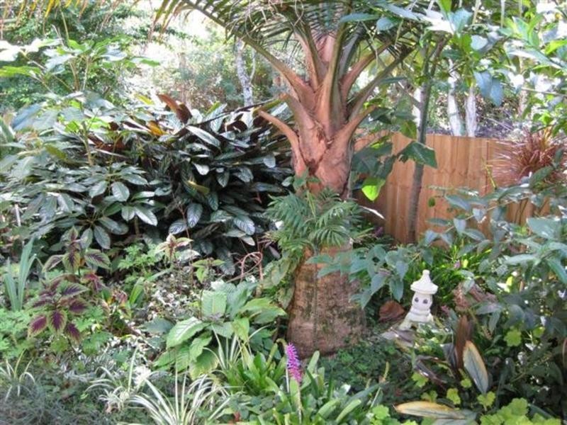 30 Royal Avenue, South Golden Beach NSW 2483