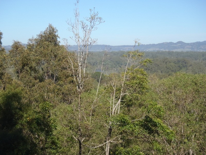2 Oola Place, Ocean Shores NSW 2483