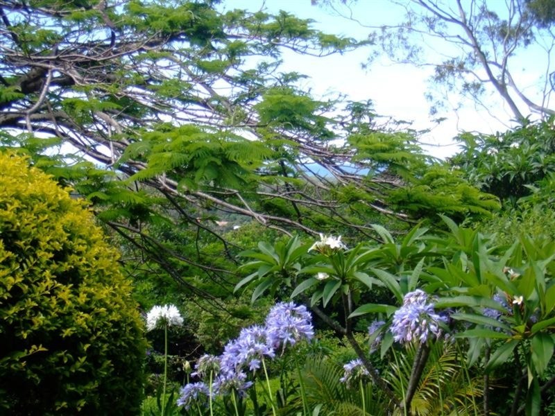 32 Tongarra Drive, Ocean Shores NSW 2483