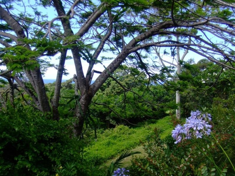 32 Tongarra Drive, Ocean Shores NSW 2483