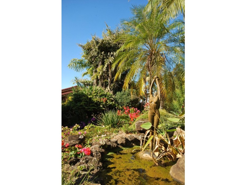 10 Tongarra Drive, Ocean Shores NSW 2483