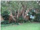 13 Helen Street, South Golden Beach NSW 2483