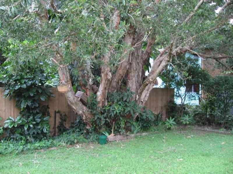 13 Helen Street, South Golden Beach NSW 2483