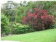 14 Walgooan Way, Ocean Shores NSW 2483