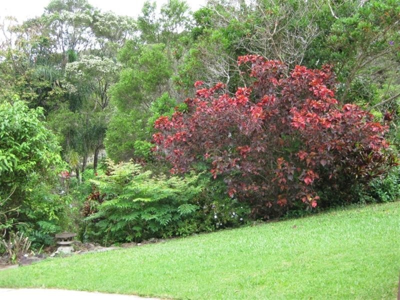 14 Walgooan Way, Ocean Shores NSW 2483