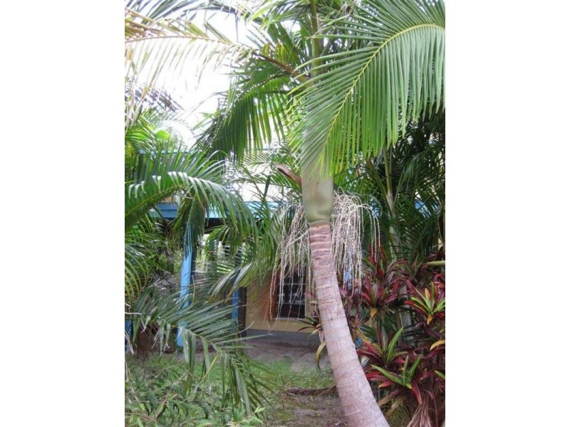 7 Kallaroo Circuit, Ocean Shores NSW 2483