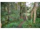 66 River Road, New Brighton NSW 2483