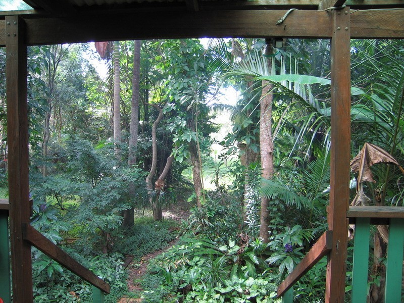 66 River Road, New Brighton NSW 2483