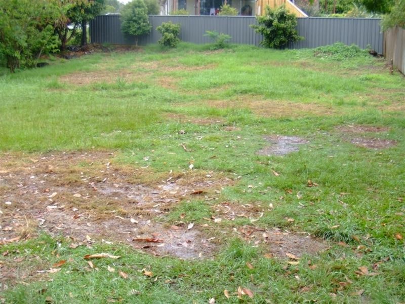 138 Shara Boulevard, Ocean Shores NSW 2483