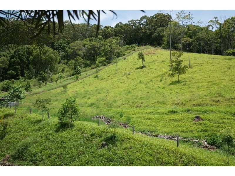 829 The Pocket Road, The Pocket NSW 2483