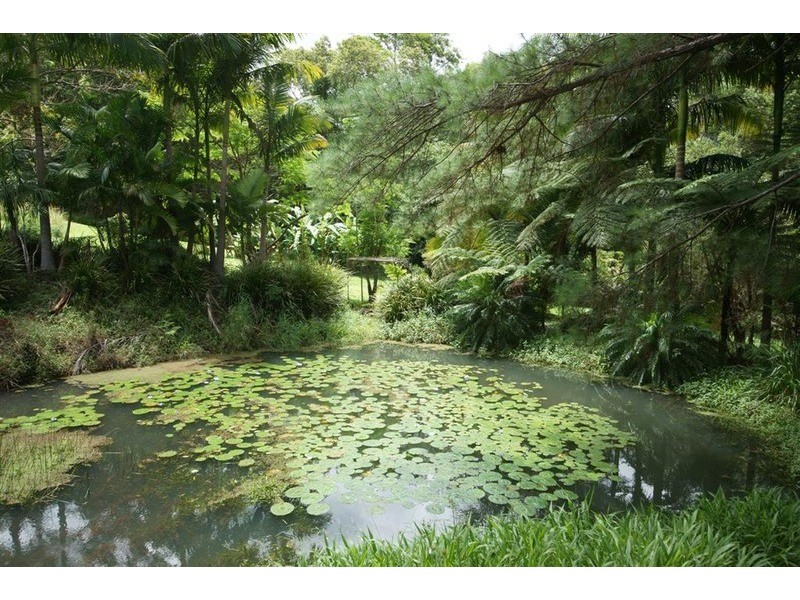 829 The Pocket Road, The Pocket NSW 2483