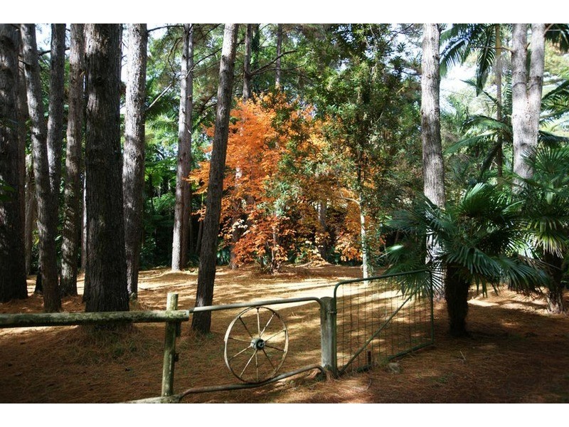 829 The Pocket Road, The Pocket NSW 2483