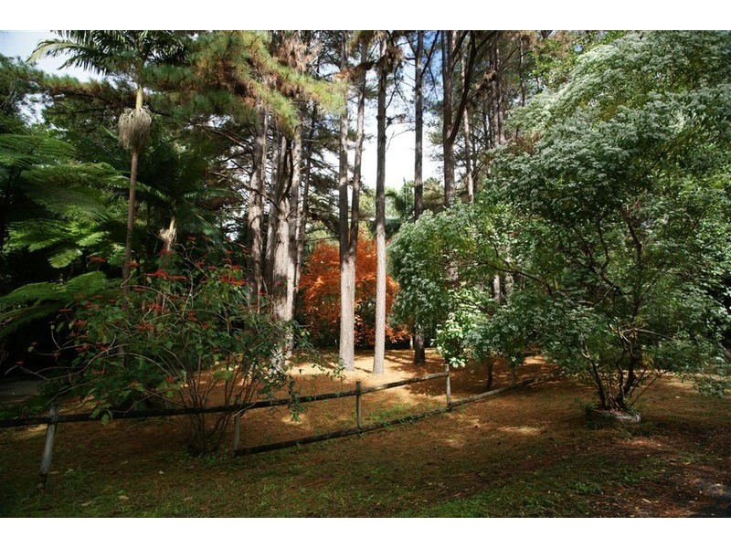 829 The Pocket Road, The Pocket NSW 2483