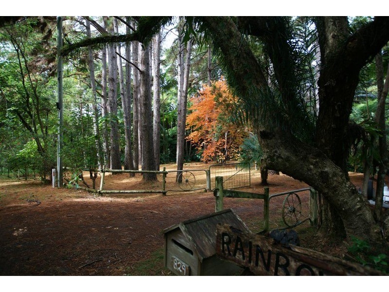 829 The Pocket Road, The Pocket NSW 2483