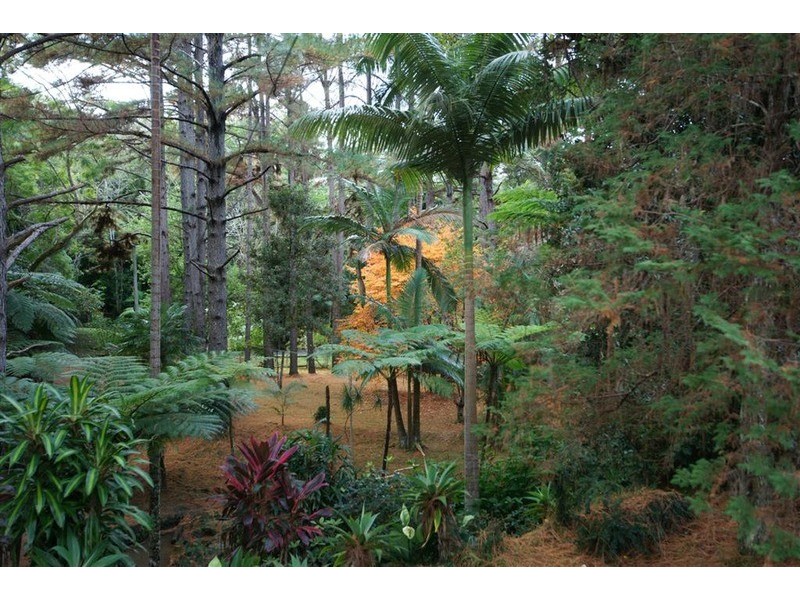 829 The Pocket Road, The Pocket NSW 2483