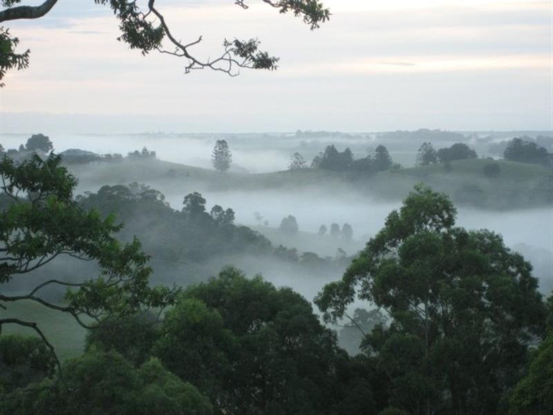 205 Kielys Road, Mooball NSW 2483