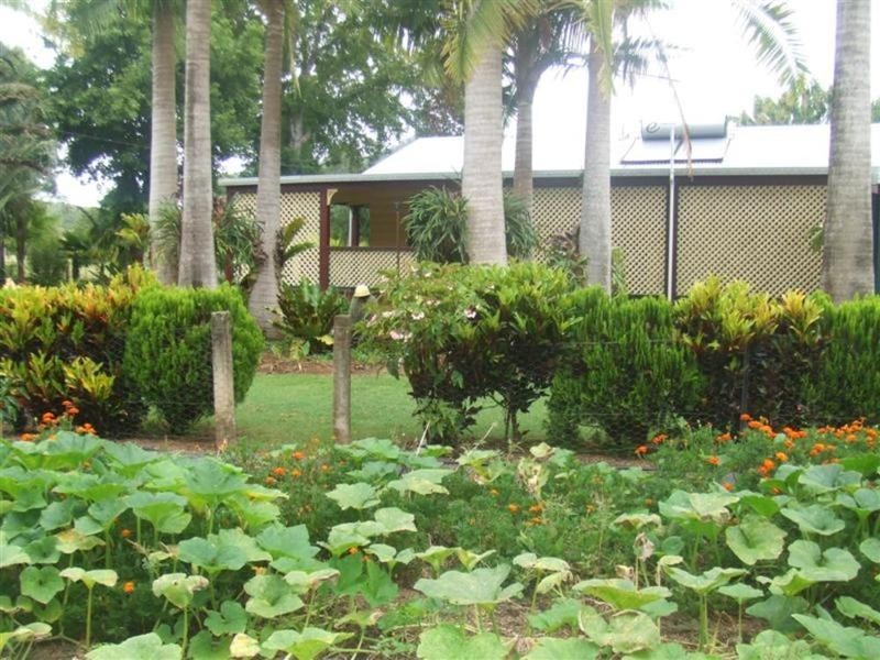 554 The Pocket Road, Billinudgel NSW 2483