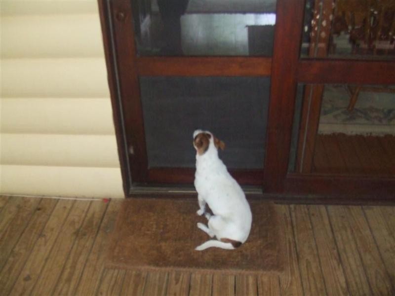 554 The Pocket Road, Billinudgel NSW 2483