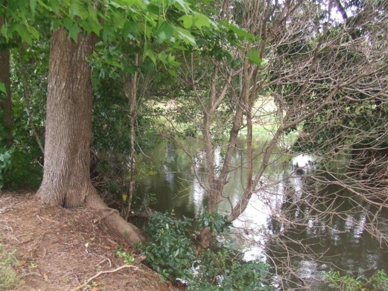 554 The Pocket Road, Billinudgel NSW 2483