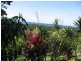 Ocean Shores NSW 2483