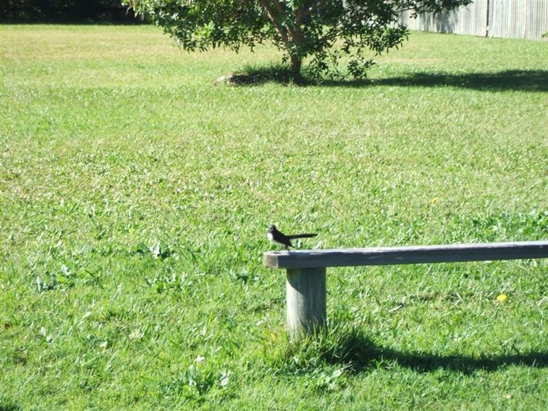 Lot 6 Muli Muli Avenue, Ocean Shores NSW 2483