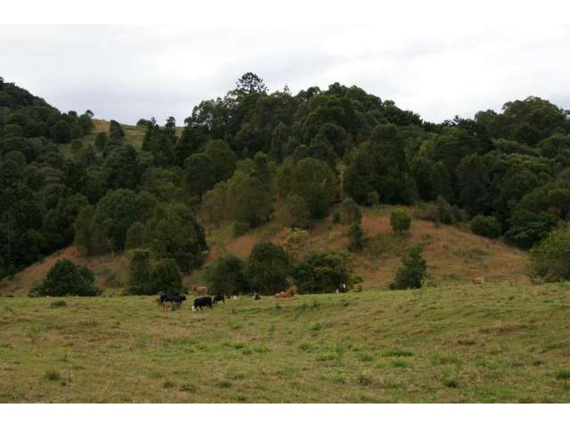 193 Middle Pocket Road, Middle Pocket NSW 2483
