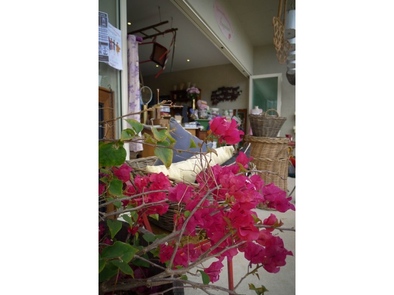 Shop 1/8 Park Street, Brunswick Heads NSW 2483