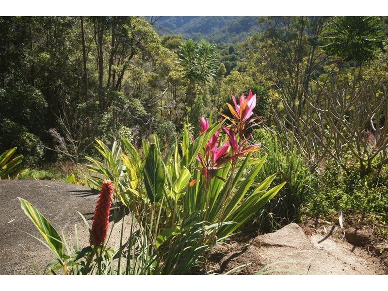 1101 The Pocket Road, The Pocket NSW 2483