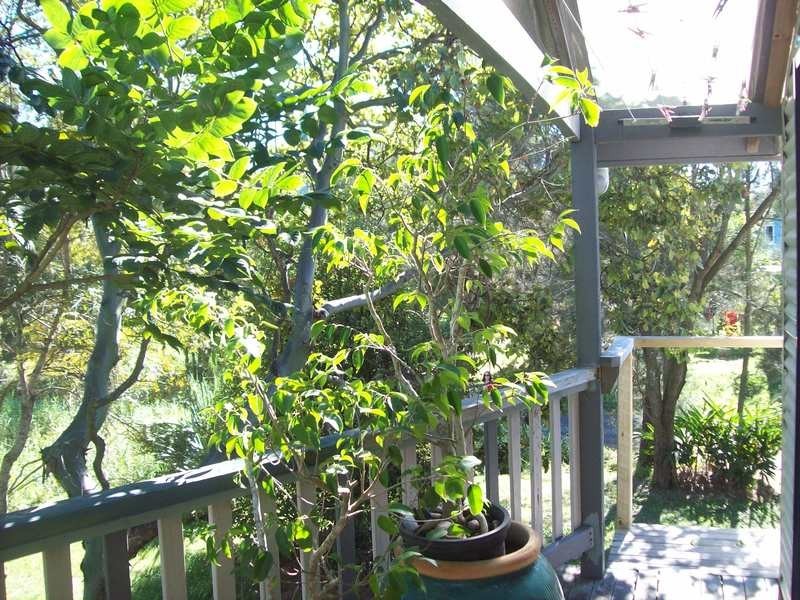 18 North Head Road, New Brighton NSW 2483