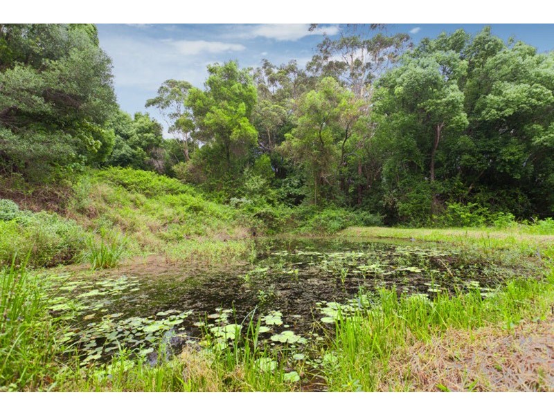 175 Moffatts Road, Billinudgel NSW 2483