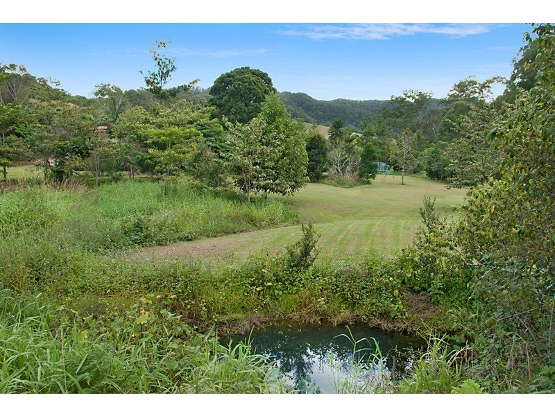430 Crabbes Creek Road, Crabbes Creek NSW 2483