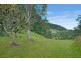 430 Crabbes Creek Road, Crabbes Creek NSW 2483