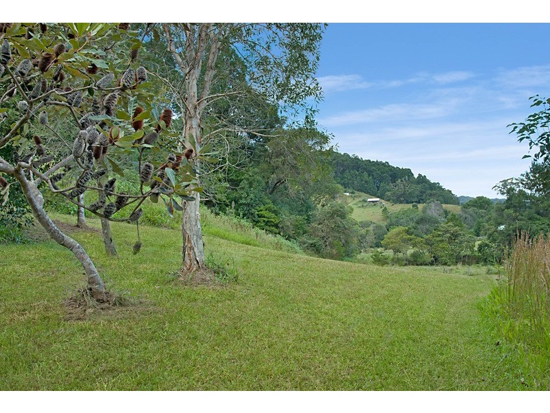 430 Crabbes Creek Road, Crabbes Creek NSW 2483