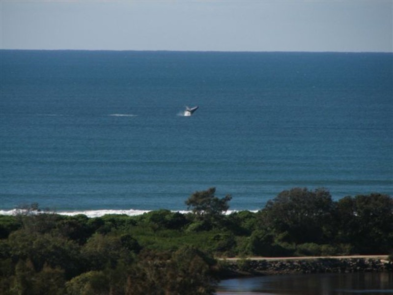 Lot 2/5 Yackatoon  Court, Ocean Shores NSW 2483