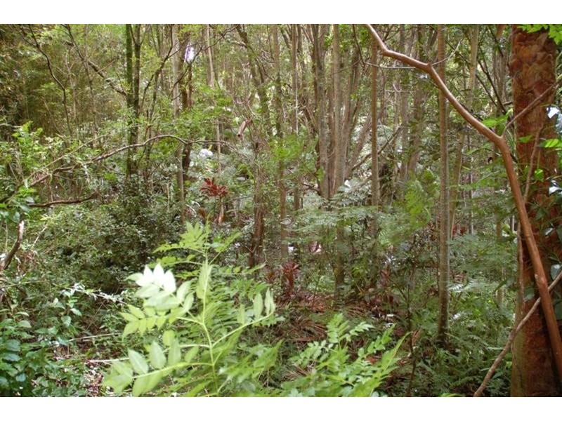 10 Nelshaby Court, Ocean Shores NSW 2483