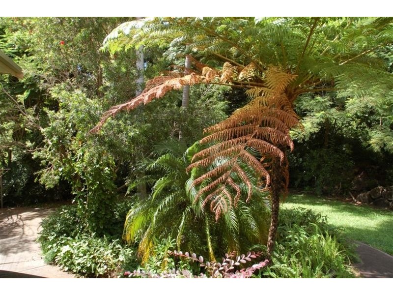 13 Yungarup Place, Ocean Shores NSW 2483