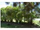 16 beach Avenue, South Golden Beach NSW 2483