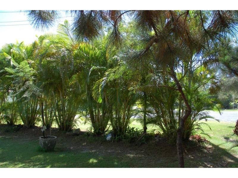 16 beach Avenue, South Golden Beach NSW 2483